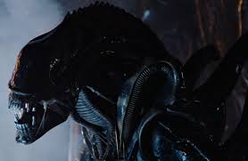 Image result for xenomorph
