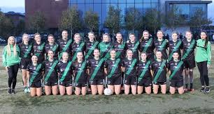 Image result for Parnells Gaelic Football Club