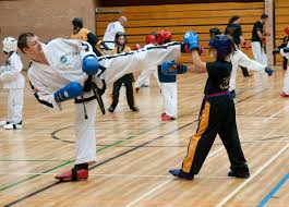Image result for Torbay Taekwondo Schools