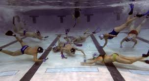 Image result for Nautilus Underwater Hockey Club