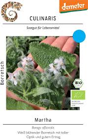 Image result for Borretsch