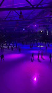 Image result for Guildford Ice Figure Skating Club