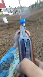 Image result for horse girl gun