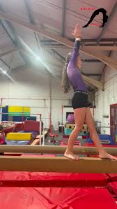 Image result for Appley Bridge Gymnastics Club