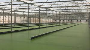 /MANKAI RED ZÖNE에 대한 이미지 검색결과