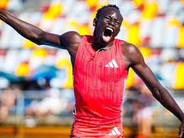 Image result for Tobogo