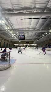 Image result for Haringey Junior Ice Hockey Club