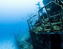 Image result for Abyss Dive Club