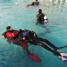Image result for St Albans Underwater Hockey Club