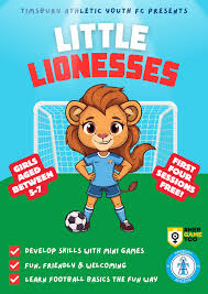 Image result for Timsbury Athletic Youth FC