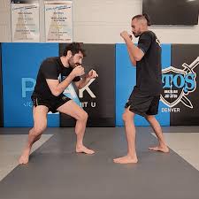 Image result for Precision MMA Mixed Martial Arts Training
