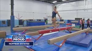 Image result for Tessaro Gymnastics Club