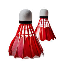 Image result for Redways Badminton Club