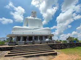 Image result for Buddha Maligavilla Srilanka
