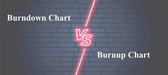 Image result for burnup chart