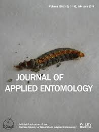 Attēlu rezultāti vaicājumam “Therevidae larva”