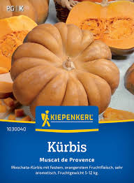 Image result for Kürbis