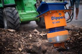 Image result for dipperfox tehron