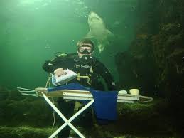Image result for extreme ironing