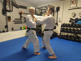 Image result for Haslemere Karate Club