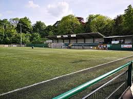 Image result for Whyteleafe Netball Club