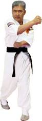 Image result for INTERNATIONAL HAPKIDO TAMWORTH