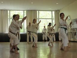 Image result for Haslemere Karate Club
