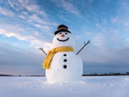 Image result for Schneemann
