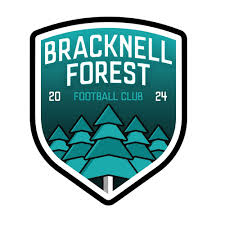 Image result for Bracknell Manics Fc