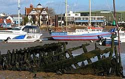 Image result for Brightlingsea Rugby Club