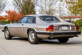 Image result for Silver Birch 1987 Jaguar