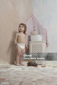 Attēlu rezultāti vaicājumam “Diaperis boleti imago”