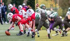 Image result for Birmingham University Lions