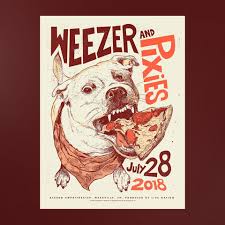 Image result for Weezadivers