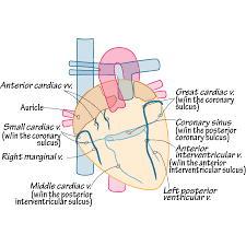 「 z [   | W V    」の画像検索結果