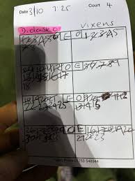 Image result for Didasko Netball Club