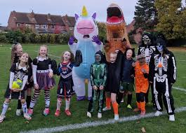 Image result for Didcot Ladies Casuals Football