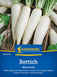 Image result for Rettich