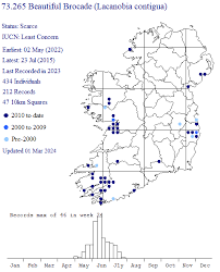 Attēlu rezultāti vaicājumam “Lacanobia contigua”