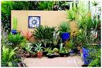 Garden: Minimalist Succulent Garden Decoration For Outdoor Living ...