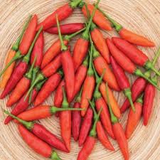 Afbeeldingsresultaat voor thai bird pepper hot pepper