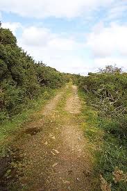 Image result for example