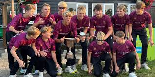 Image result for Ashton Hayes Cricket Club