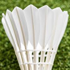 Image result for Team 2000 Badminton Club