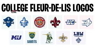 Image result for Fleur De Lys Football Club