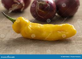 Afbeeldingsresultaat voor mme jeanette hot pepper