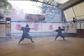 Image result for Hertfordshire Iga Ryu Ninjutsu
