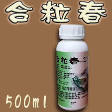 Image result for 春粒