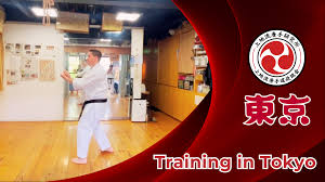 Image result for Ryuko Dojo