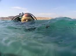 Image result for London Hellfins